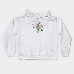 Vintage Blooming Dwarf Rosebush Botanical Illustration Kids Hoodie